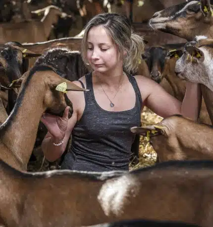 Eleveur laitier passionné chez Sèvre & Belle